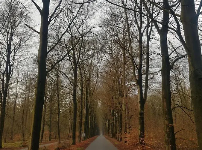 Vakantiehuis Dartien